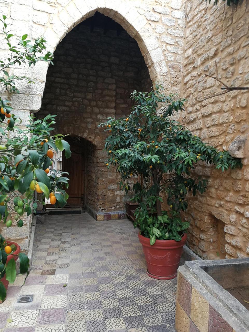 Dar Camelia Tiro Exterior foto